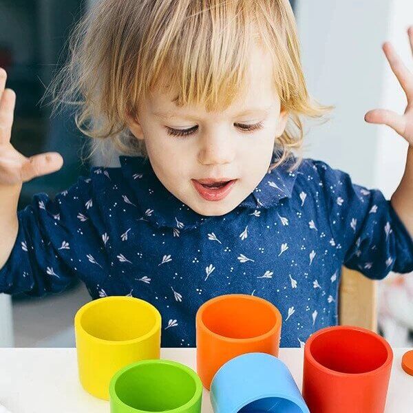 The Complete Guide to Sorting Activities for Toddlers and How They Help with Learning and Development